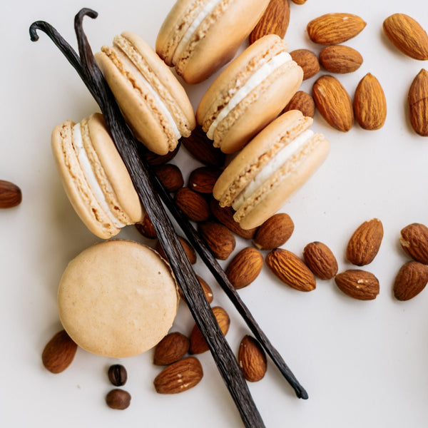 12 Piece Classic Macaron Box – Ginger Elizabeth Chocolates